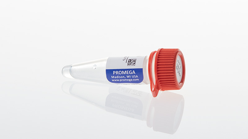 N2691_HaloTag--CRBN-Fusion-Vector_3