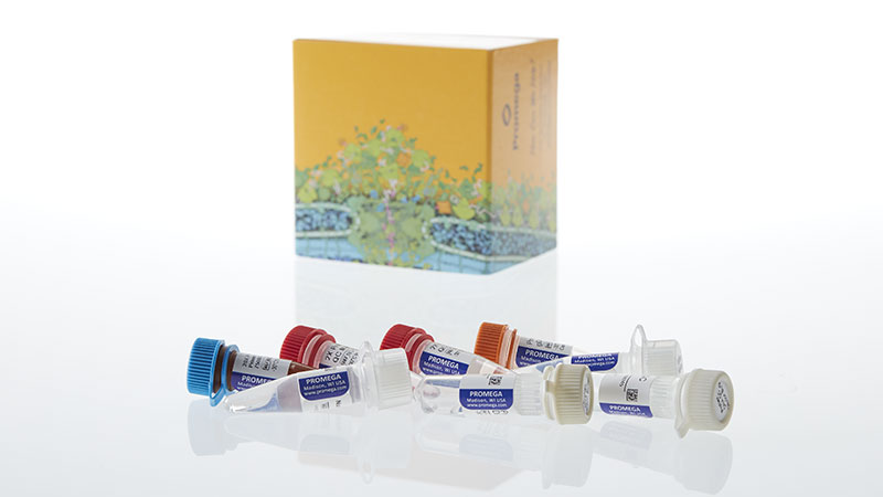 NG1002_ProNex--DNA-QC-Assay-ABI-75007500FAST_3