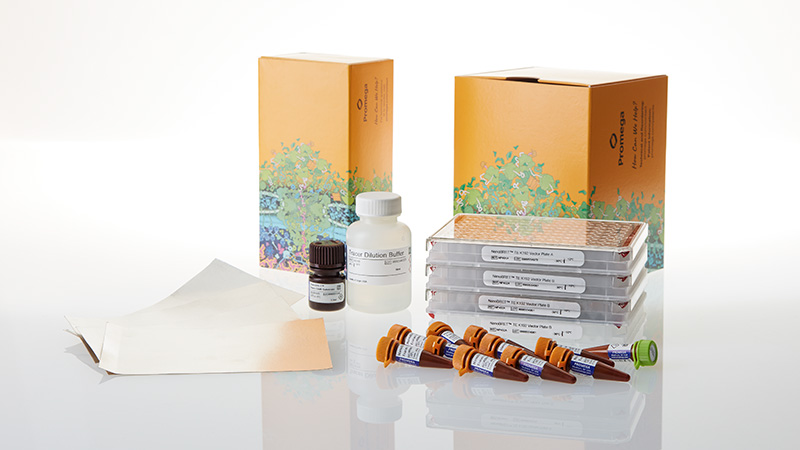 np4050-nanobret-te-k192-kinase-selectivity-system