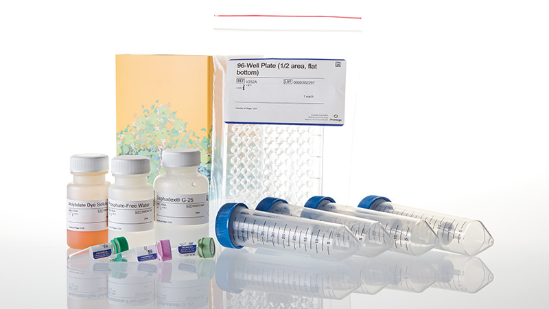 V2460_Ser-Thr-Phosphatase-Assay-System--96-rxn_3