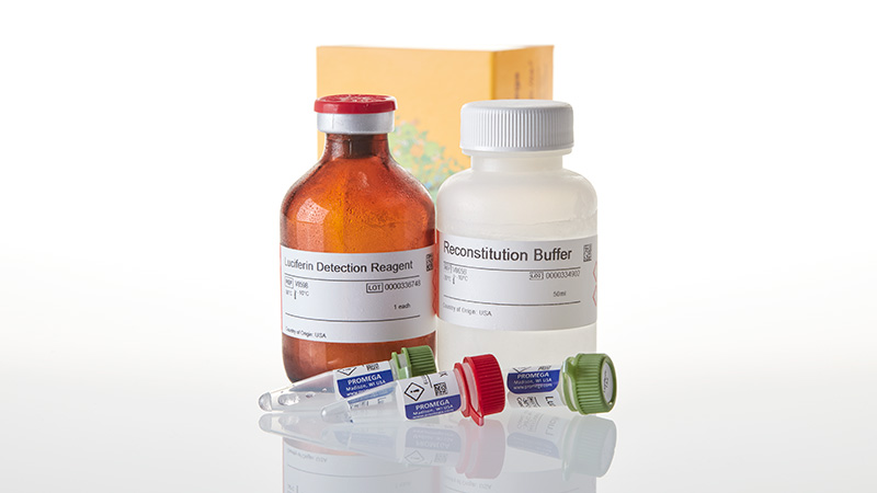 V8422_P450-Glo--CYP1A2-Induction-3a-Inhibition_3