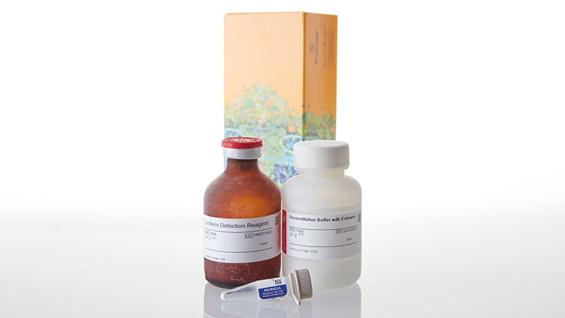 V8892_P450-Glo--CYP2D6-Assay-50ml_3