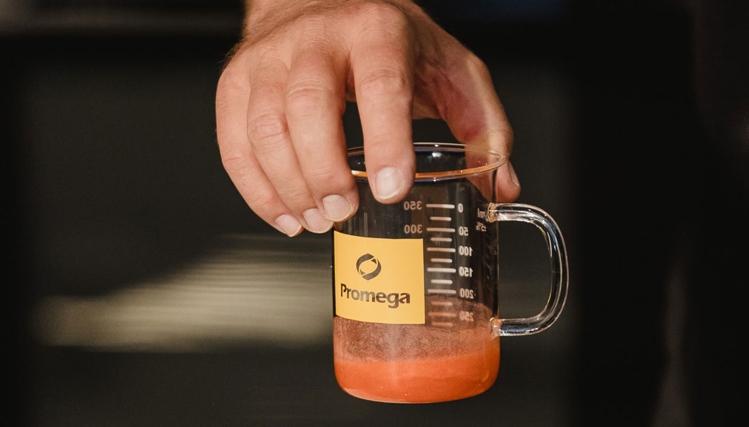 promega-adn-fresas-16