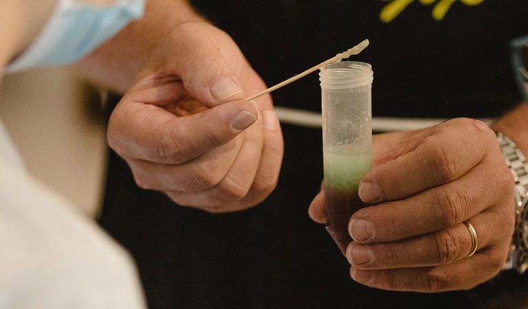 promega-adn-fresas-53