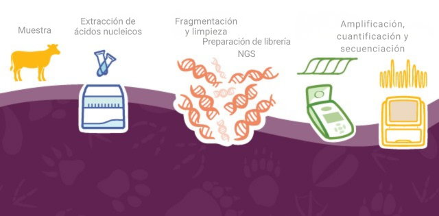 es-supporting-end-to-end-animal