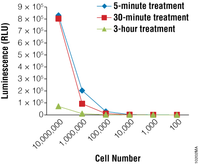 Detection of fungicidal activity using Bactiter-Glo Assay.