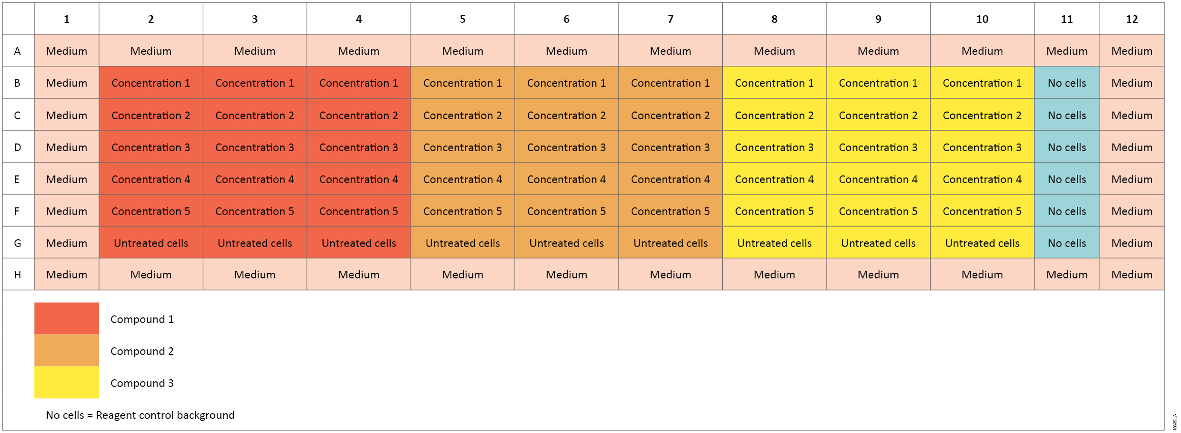 Plate setup for the ApoTox-Glo™ Assay