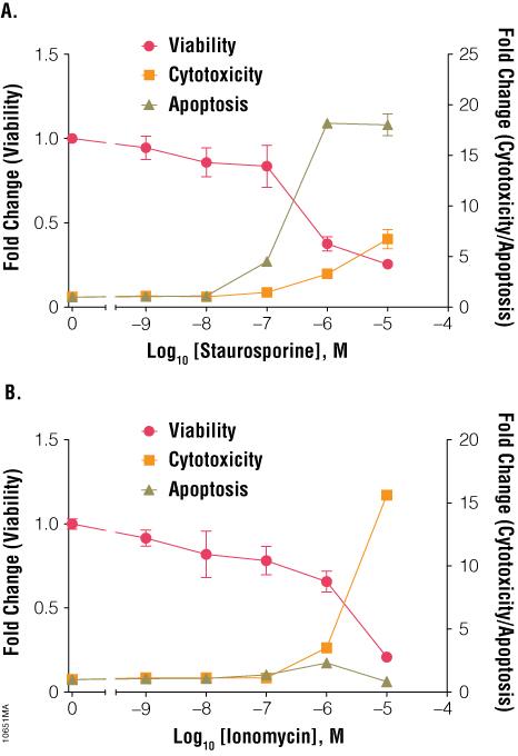 Treatment of Jurkat cells with staurosporine and ionomycin after 6 hours. 
