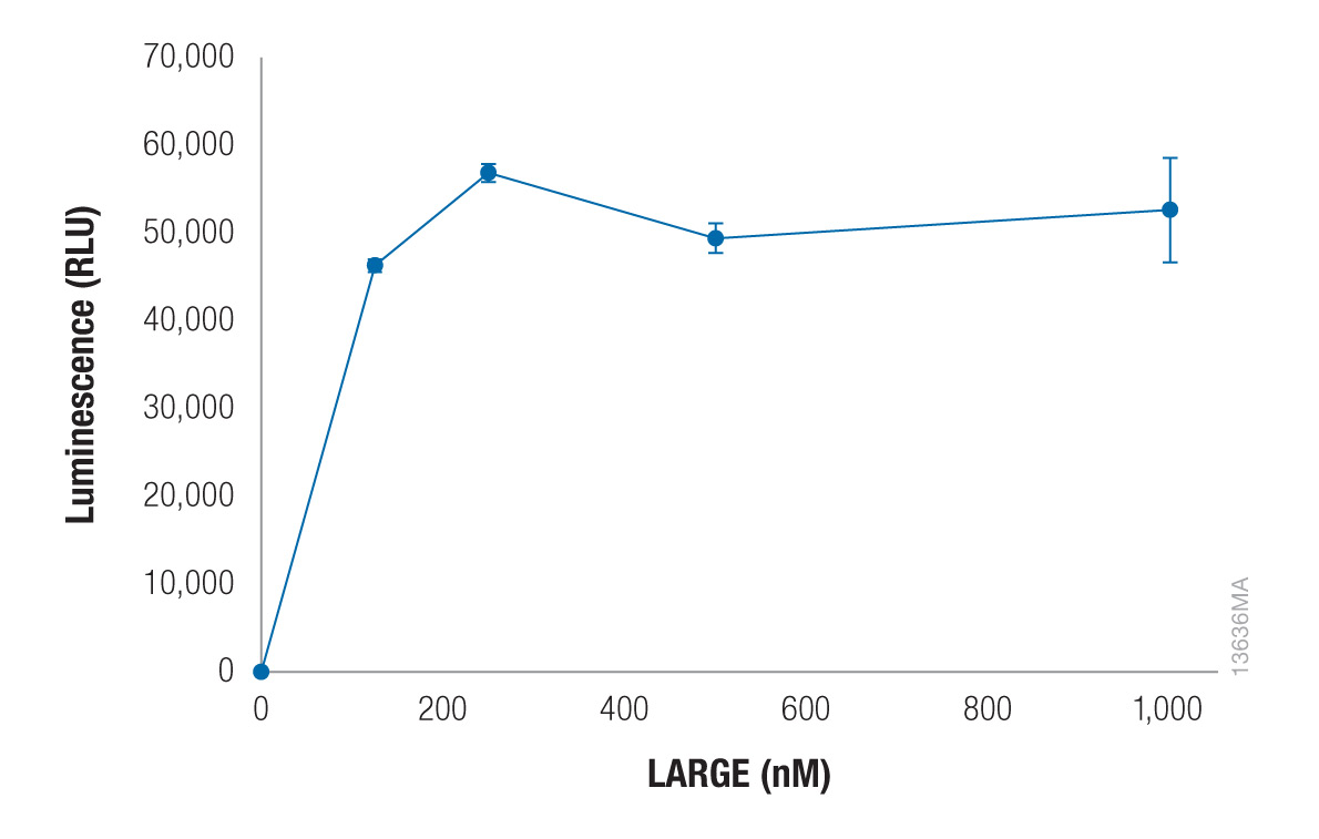 Xylosyltransferase activity of LARGE can be detected using CIAP-treated UDP-xylose.