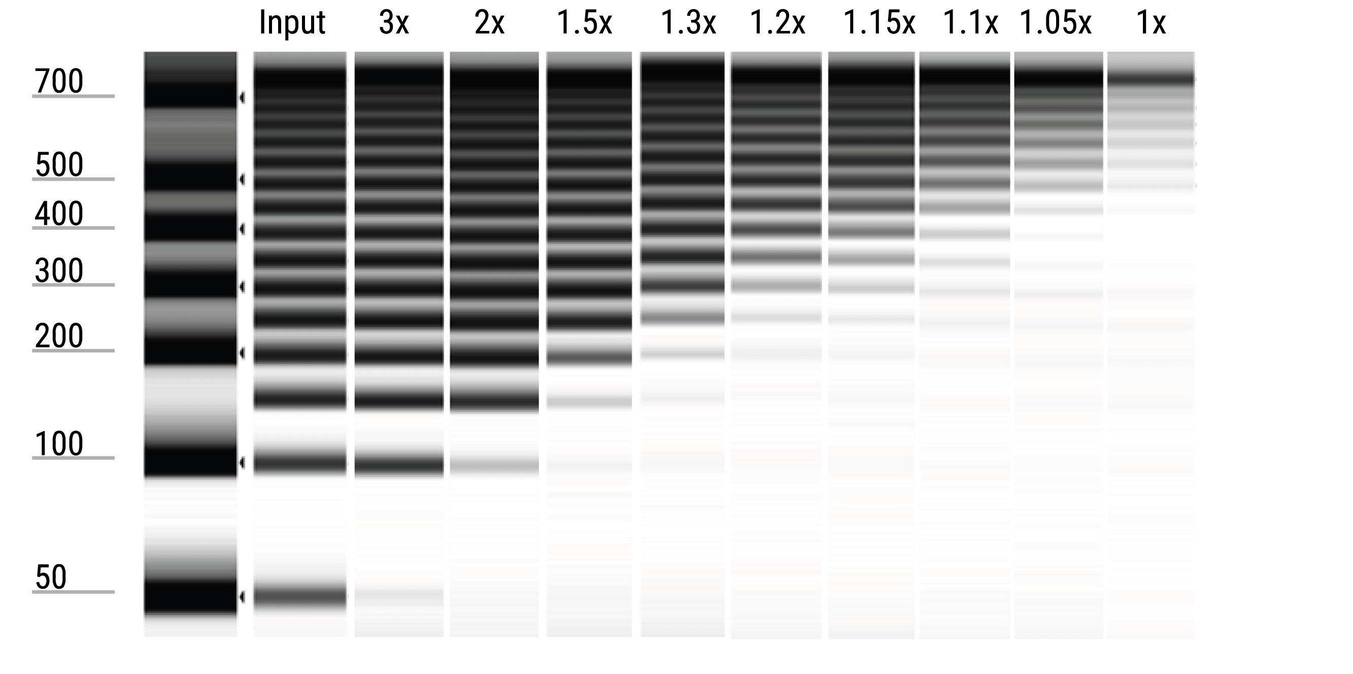DNA Size Selection Chemistry:Sample Ratios