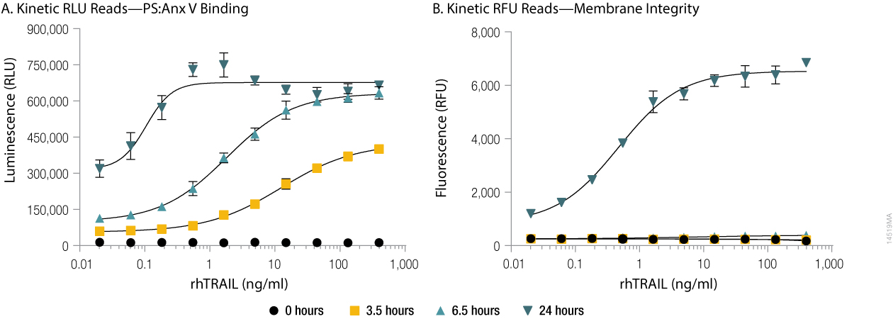 Annexin V binding to phosphatidylserine (PS:Anx) and loss of membrane integrity in real-time.