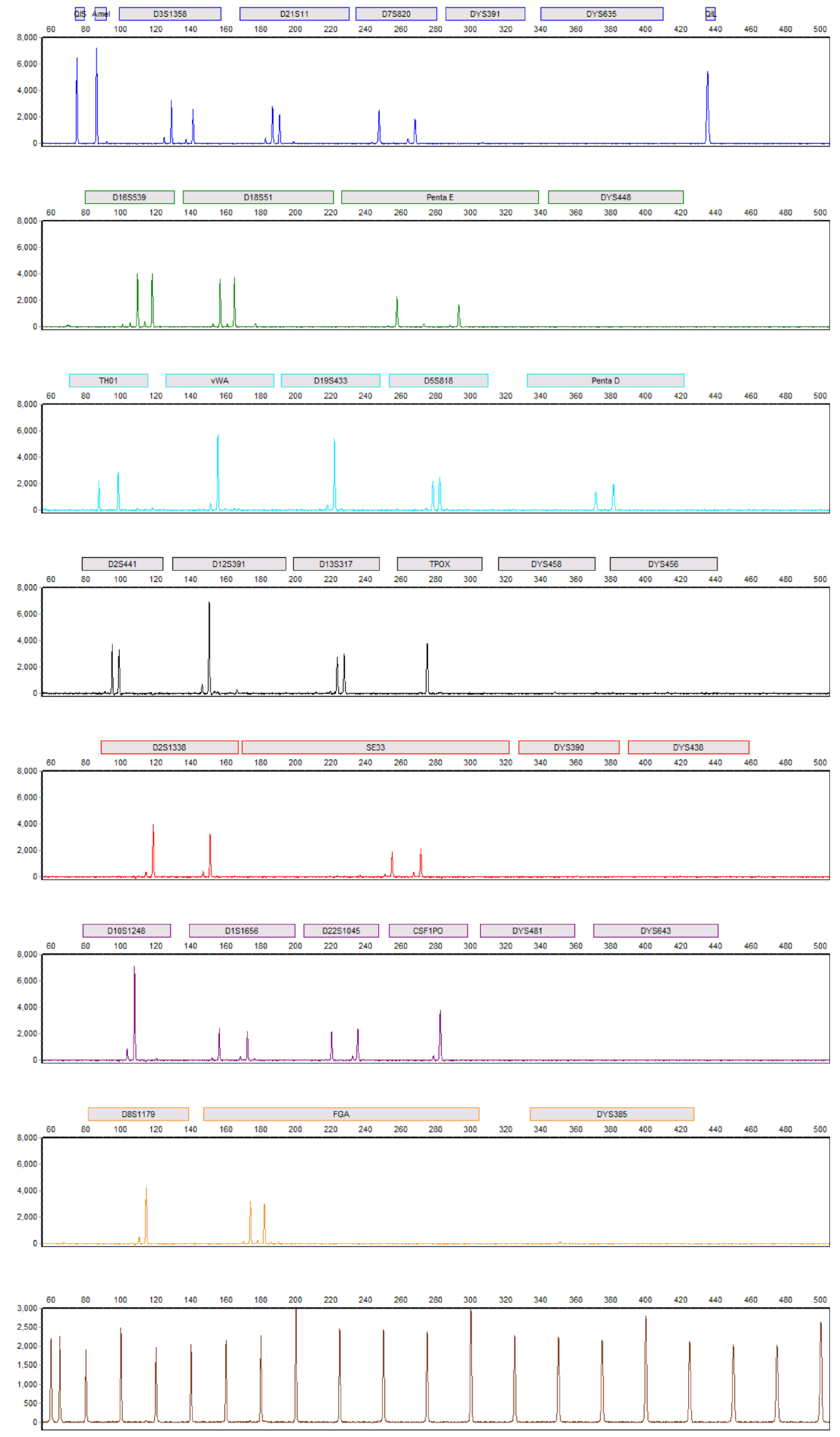 Profile from the epithelial fraction of a post-coital sample obtained using the Maxwell® DE System.