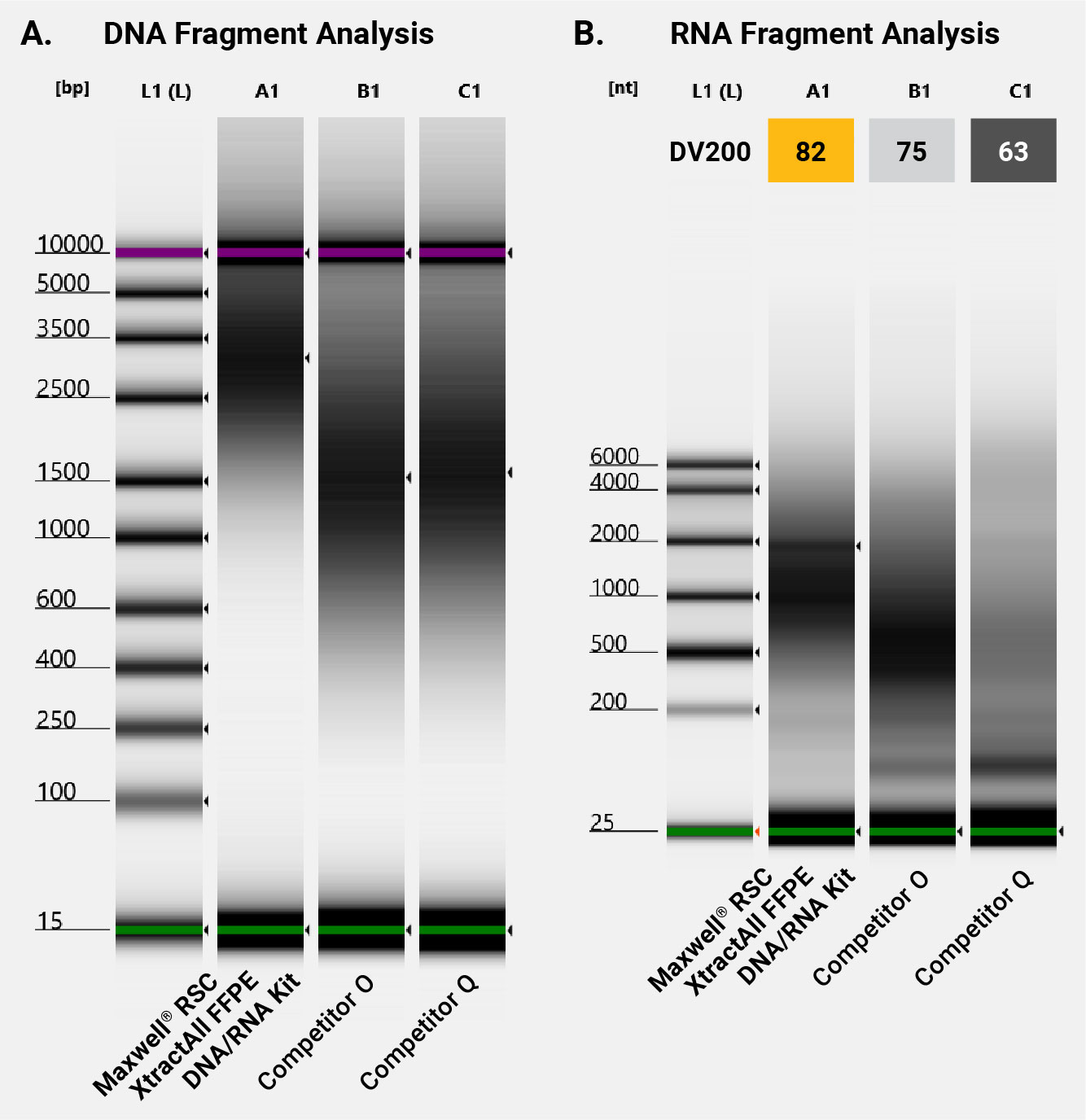 Gel photos comparing FFPE DNA and RNA fragment size and quality from several extractions (Maxwell® XtractAll FFPE DNA/RNA chemistry and two competitors); DNA fragment size was evaluated using the Agilent TapeStation Assays.