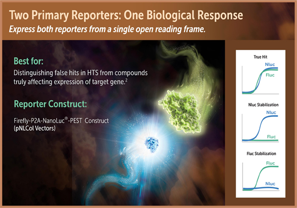 DLR_infographic_4_600PX