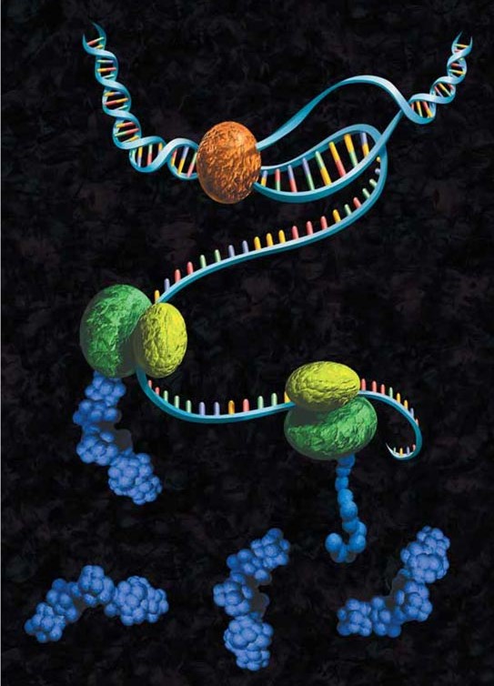 cell-free protein expression systems