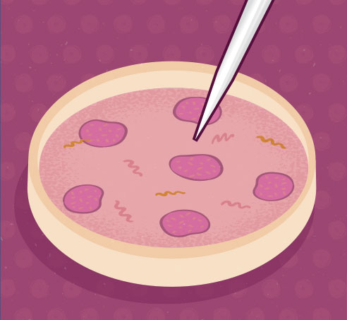 cell-line-how-does-it-work