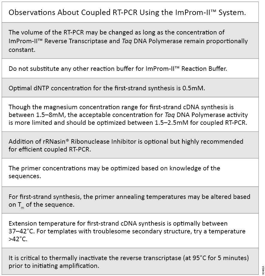 reverse transcriptase pcr