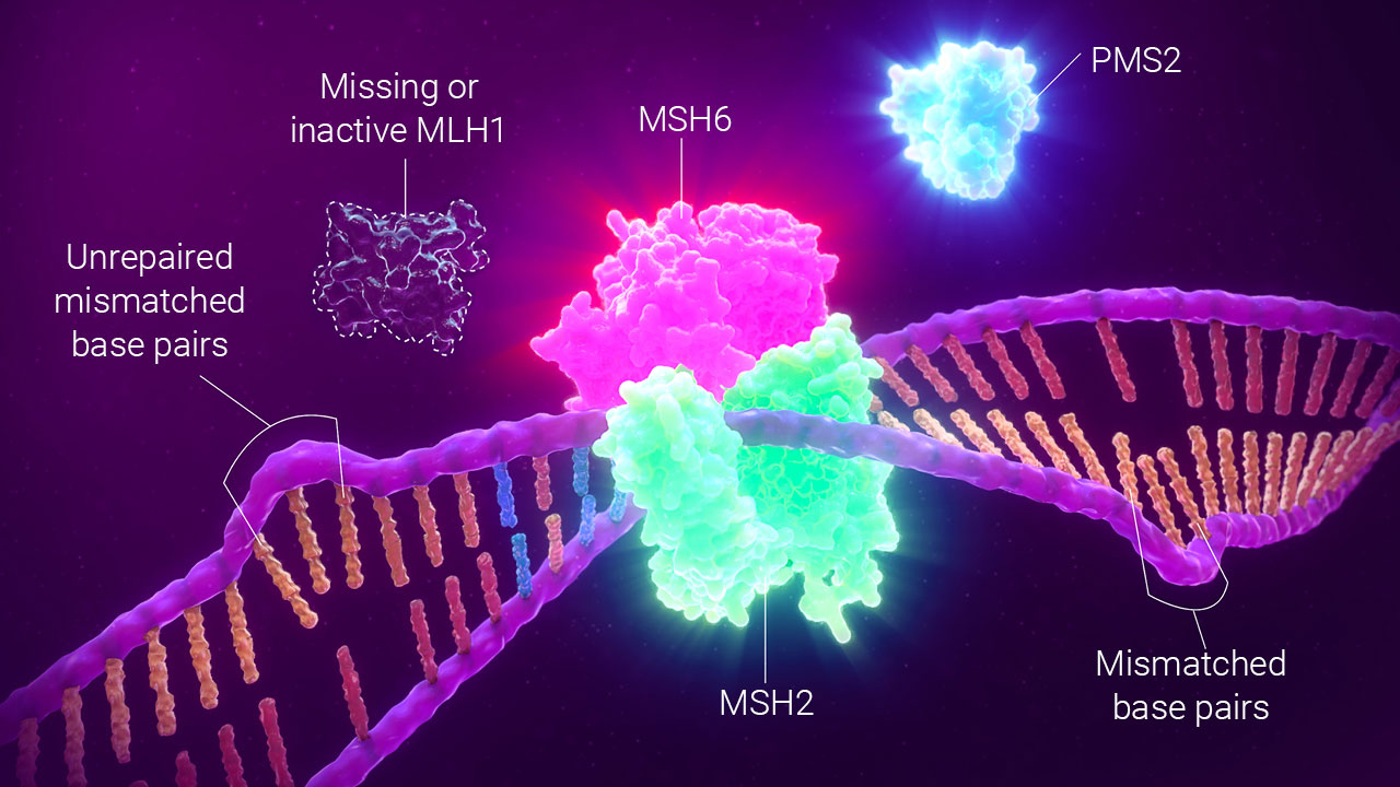 Detecting mmr by ihc