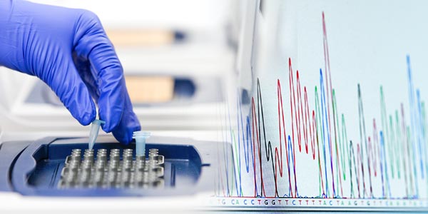 Forensic Samples Provide DNA Profile