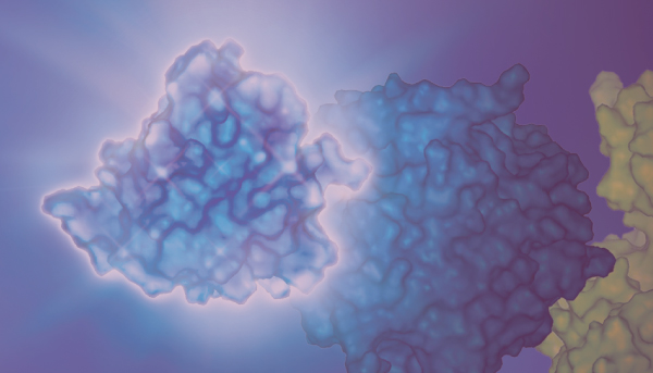 50845545-nanoluc-addres-tiles-320x290-2