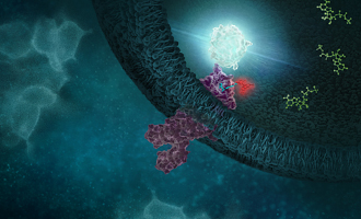NanoBRET TE Nexus Article Image